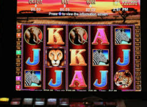 大小单双导师带赚包赔客户端