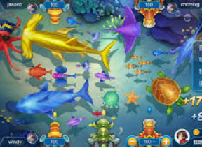 大小单双导师带赚包赔2024最新版